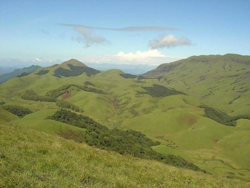 Akkamalai Pul Medu: The Untamed Grass Hills of Valparai