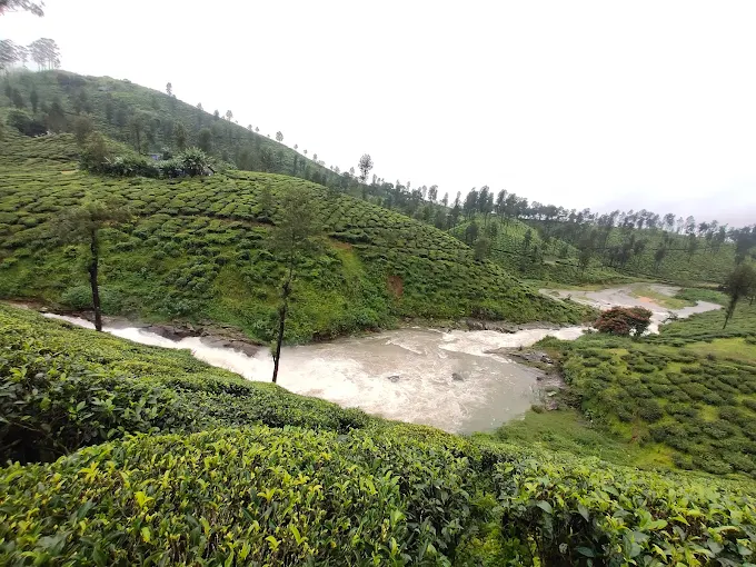 Birla Waterfalls, Valparai: A Hidden Gem Amid the Western Ghats