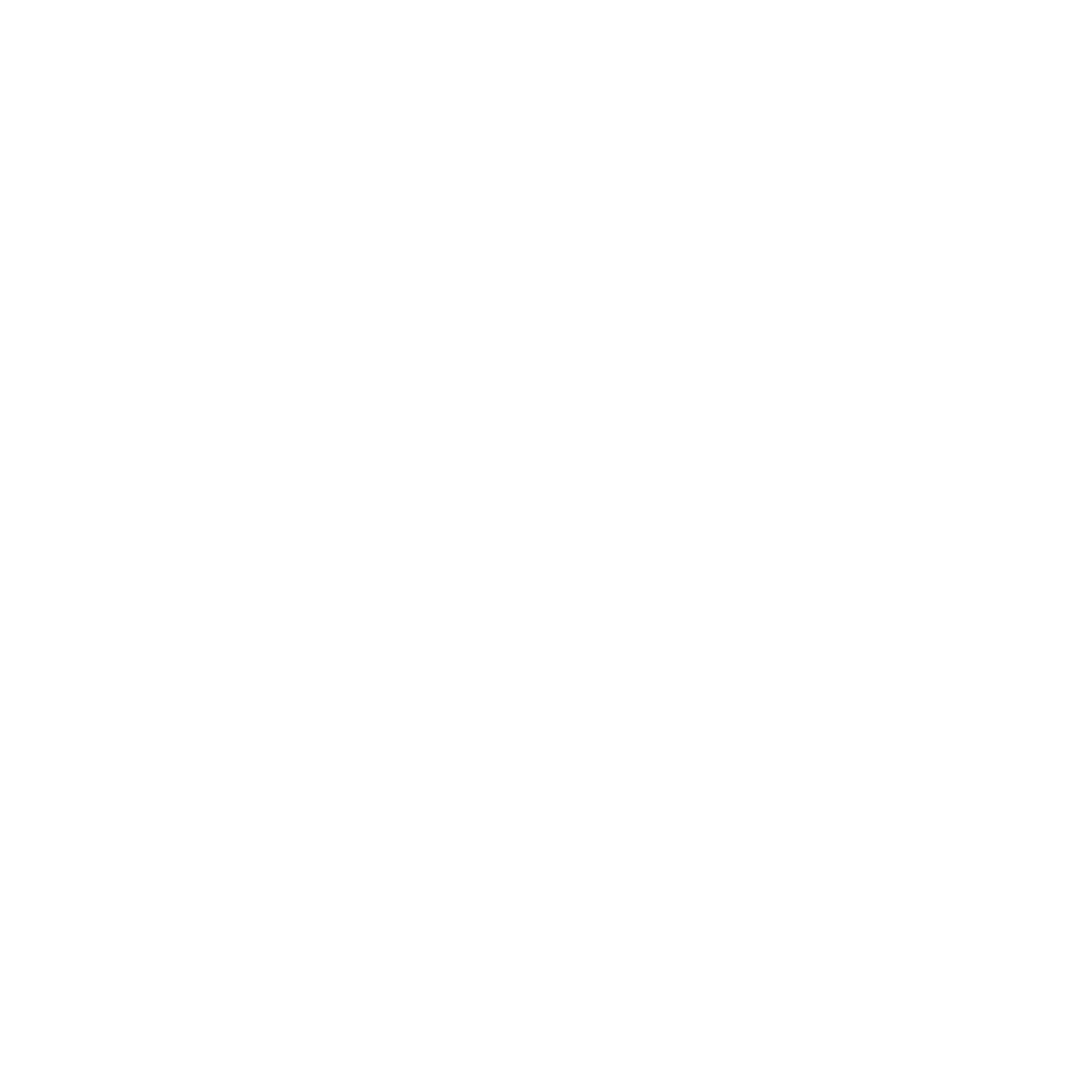 Indian Flag