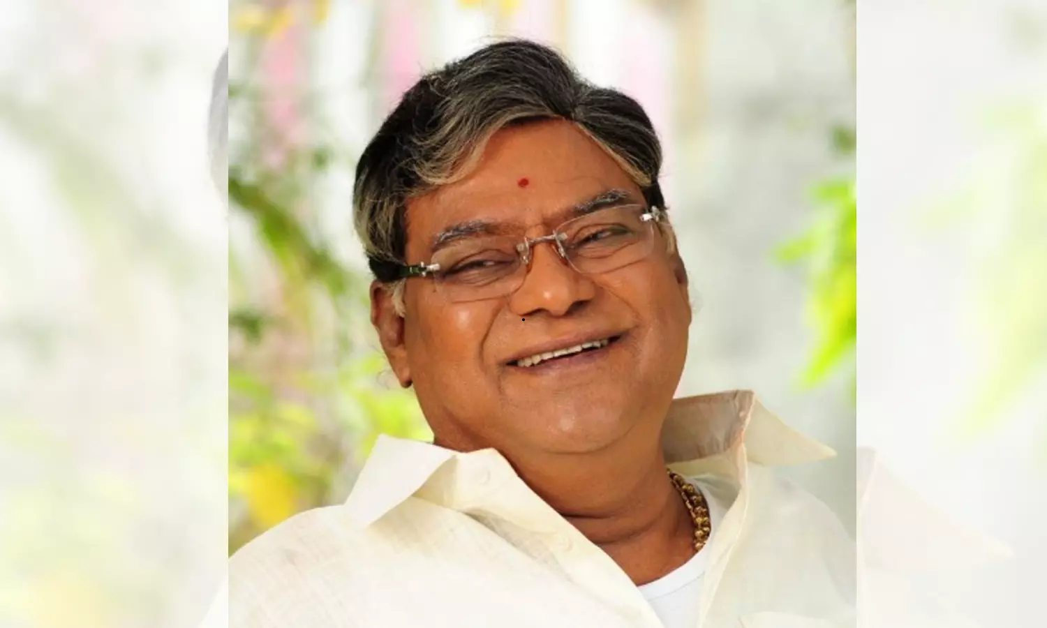 The Life and Legacy of Kota Srinivasa Rao – A Detailed Biography