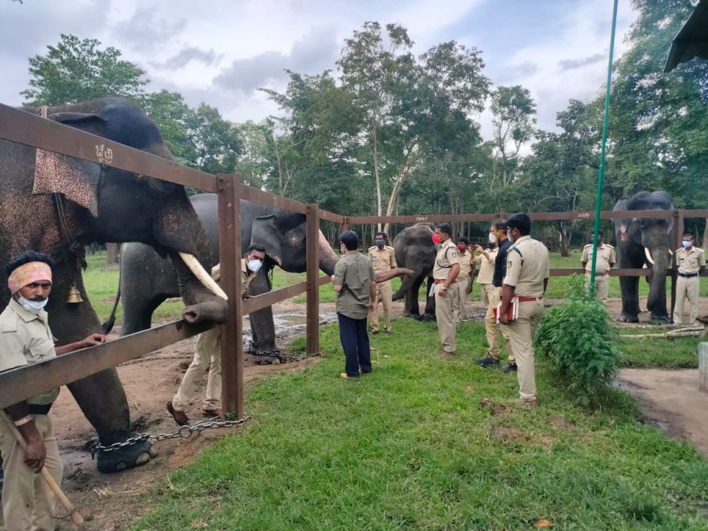 Ramapura Elephant Camp, Bandipur Tiger Reserve: A Conservation-Focused Wildlife Destination